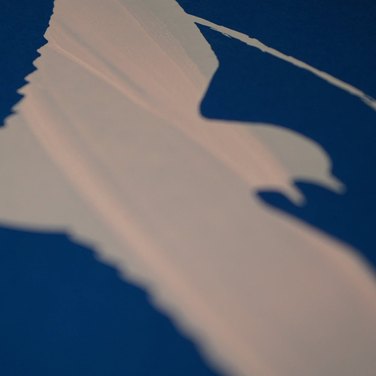 polaris misprints — release 01 — Polaris Music & Heritage Prize 2026 Posters