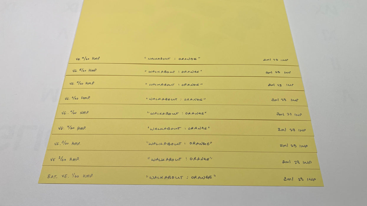 DesignTO Festival 2023 Poster — Limited & Standard Editions