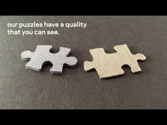 House Study 01 — 1000 Piece Puzzle